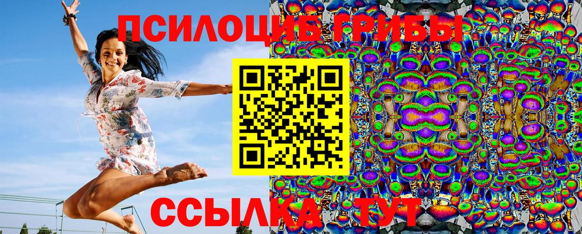 Галлюциногенные грибы Psilocybine cubensis Аксай