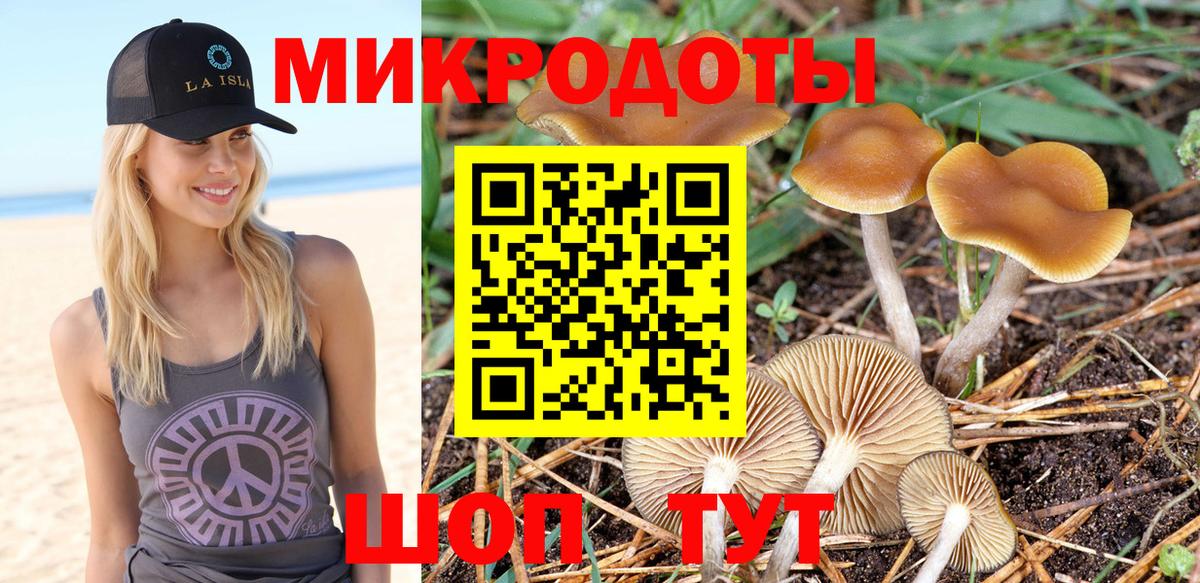 Галлюциногенные грибы Psilocybe  Вход с VPN  Аксай 